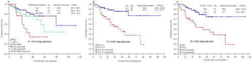 Figure 5. Univariate analysis of survival. (A) Pathological grading; (B) CC score; (C) CTNI > ULN.