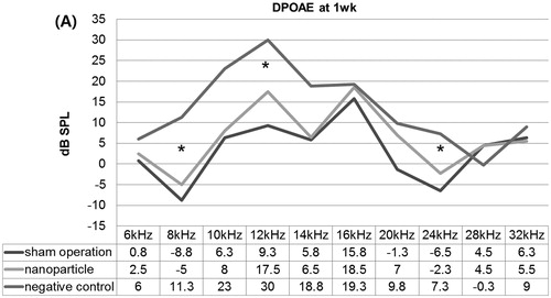 Figure 5. Distortion product otoacoustic emissions (DPOAE) at 1 week after the operation. The nanoparticle group showed significantly lower DPOAE levels at 8, 12 and 24 kHz compared with the negative controls, but a similar DPOAE level as the sham operation group. *P <0.05.