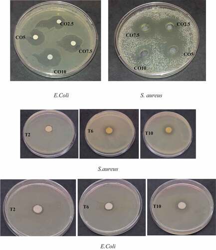 Figure 4. Antimicrobial activity of agave sheets with different active additives.