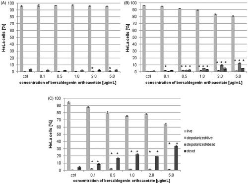 Figure 5. The effect of bersaldegenin-1,3,5-orthoacetate on MMP in HeLa cells. The cells were treated with the compound at concentrations 0.1–5.0 µg/mL and DMSO (a control sample). After 3 h (A), 24 h (B), and 48 h (C) the cells were stained and analysed by flow cytometry. The percentage of live, depolarized/live, depolarized/dead and dead cells was determined in comparison to the control sample. Each sample was run in triplicate. Error bars represent standard deviations. Significant differences relative to the control are marked with an asterisk ‘*’ (p < 0.05).