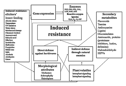 Figure 1. Mechanism of induced resistance in plants. POD, peroxidase; PPO, polyphenol oxidase; PAL, phenylalanine ammonia lyase; TAL, tyrosine alanine ammonia lyase; LOX, lipoxygenase; SOD, superoxide dismutase; APX, ascorbate peroxidase; HIPVs, Herbivore induced plant volatiles