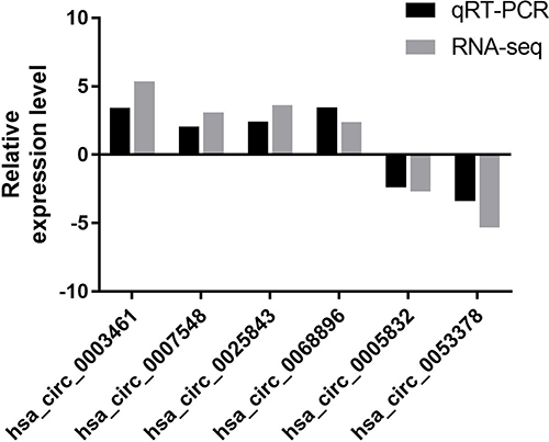 Figure 5 Relative expression levels of 6 randomly selected circRNAs by RNA sequence and qRT-PCR in the CSE group and control group. Upwards, upregulated circRNA; downwards, downregulated circRNAs.