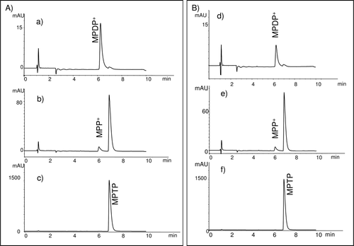 Figure  2. . HPLC chromatogram of the enzymatic oxidation of MPTP neurotoxin by human MAO-B (A) and MAO-A (B). MPDP+ is determined at 355 nm, MPP+ at 280 nm, and MPTP at 254 nm.