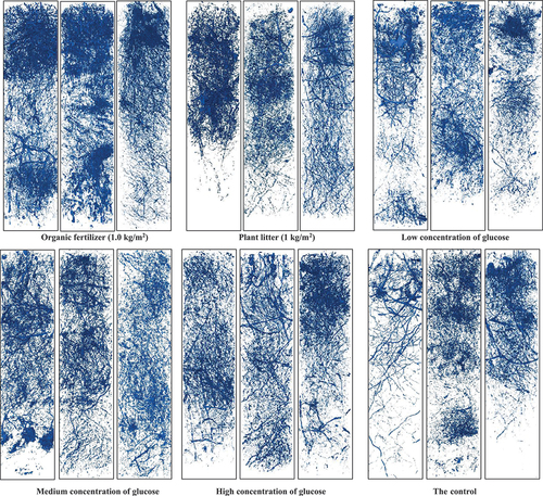 Figure 2. Three-dimensional visualization of soil macropores under different treatments (blue denotes soil macropores).