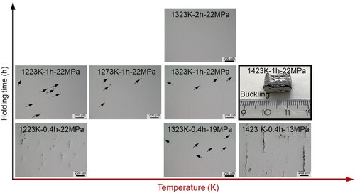Figure S1. Optical microstructure of NiTi processed by various SPS parameters (shown in the figure in the format of ‘Temperature (K)-Holding time (h)-Pressure (MPa)’). All images are with 200 μm scale bars. Micro-cracks are marked by black arrows in the figure.