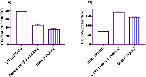 Figure 4. Represents the calculation of H-Score for m-TOR (A) and Nrf-2 (B) protein expression in the tested groups induced by coumarin molecule bearing 3,4-dimethoxybenzylidene hydrazinyl 14b compared to negative control and macrophage cells treated with Dexa.