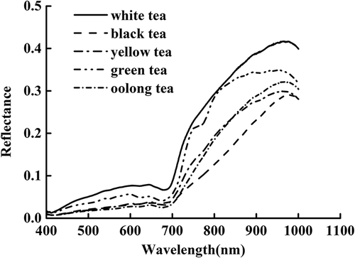 Figure 1. The mean spectral curves of tea samples in wavelength range of 400–1000 nm.