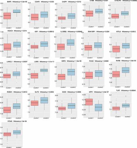 Figure 10. Differential expression of hub genes in different PE subclasses (21/41, Kruskal–Wallis, p < 0.05)