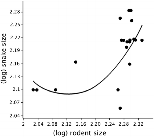 Figure 4 Relationship between rodent mean size per cell and rodent-eating snake mean size per cell in West and Central Africa. For statistical details, see the text.