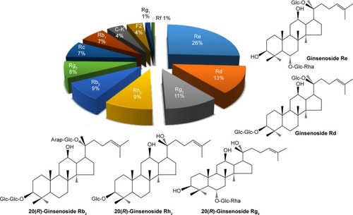 Figure 1 Composition of ginsenosides in GBE.Abbreviation: GBE, ginseng berry extract.