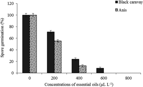 Figure 2. Effect of different concentrations of black caraway and anise essential oils on spore germination percent of P. digitatum.