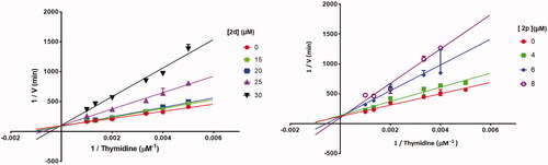 Figure 7. Lineweaver–Burk plots of E. coli TP inhibition by 2d and 2p, in the presence of variable concentrations of thymidine demonstrating competitive-type enzyme inhibition. Results are presented as means ± SD; SD denoted by error bars (experiments carried out in triplicate).