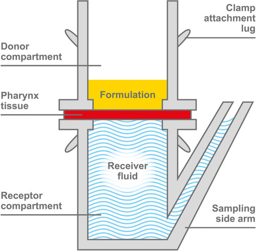 Figure 1 Schematic representation of the Franz cell.