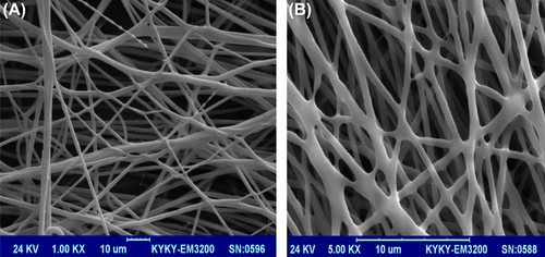 Figure 2. SEM images of designed PCL nanofibers in different magnifications. (A) Unmodified nanofibers (1000×) (B) laminin-coated nanofibers (5000×).