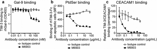 Figure 1. M6903 inhibited TIM-3 binding to Gal-9, PtdSer, and CEACAM1. a) Binding of huTIM-3-Fc biotin (0.5 μg/mL) to plate-bound Gal-9 (2 μg/mL) was evaluated via ELISA after pre-incubation with serial dilutions of M6903 or isotype control (nM). b) Staurosporine (2 μg/mL, 18 hrs) induced apoptosis in Jurkat cells, leading to exposure of surface PtdSer. Apoptotic Jurkat cells were then incubated with rhTIM-3-Fc AF647 pre-incubated with various concentrations of M6903 or isotype control (μg/mL), and the binding of rhTIM-3-Fc AF647 on the Jurkat cells was measured by flow cytometry (MFI). c) Binding of recombinant His-tagged CEACAM1 to plate-bound huTIM-3-Fc (0.5 μg/well) was evaluated via ELISA after pre-incubation with serial dilutions of M6903 or isotype control (μg/mL). a-c) Non-linear best fit lines were generated for all plots using a Sigmoid dose-response equation and mean and standard deviation (SD) are presented