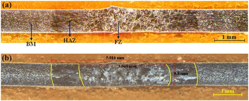 Figure 3. Typical weld zone corresponding to the experimental condition of 20 A, 2.9 mm/s (172 J/mm): (a) macrograph and (b) microstructure.