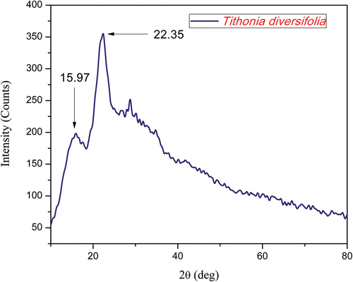 Figure 2. XRD spectrum of TD fiber.