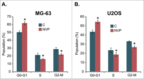 Figure 3. NVP-BEZ235 exerts a cytostatic effect in osteosarcoma cells. Quantitative cell cycle distribution of MG-63 cells (A) or U2OS cells (B) treated with or without NVP-BEZ235 (NVP, 200 nM, 42 hrs) was examined by FACS assay. n = 5 for each assay. *P < 0.05 vs. group “C.”