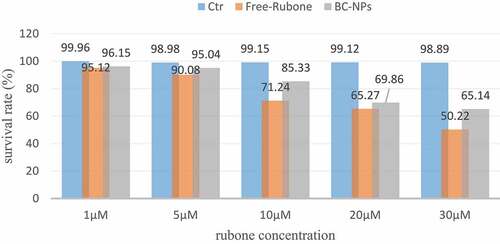 Figure 1. Cell viability at different RUBONE concentrations