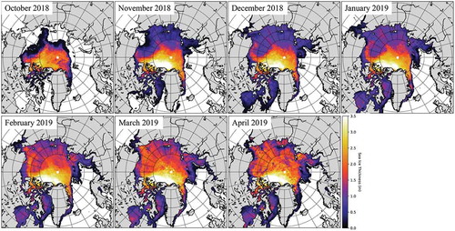 Figure 5. Daily generated AMSR2-derived SIT maps at 25 km spatial resolution for mid-October 2018 to April 2019