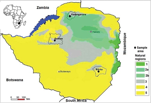 Figure 1. Map showing sampling areas (Bikita, Gokwe, and Kazangarare) of U. kirkiana fruits in Zimbabwe