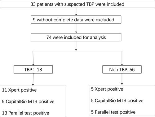 Figure 1 Flow and classification of patients included in this study.