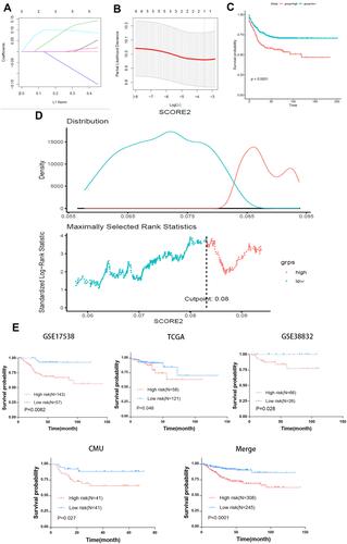 Figure 3 Autophagy-stroma-based prognosis classifier. (A) LASSO coefficient profiles of the autophagy-stroma-related prognostic DEGs. (B) Three-fold cross-validation for tuning parameter selection in the LASSO model. The partial likelihood deviance is plotted against log (λ), where λ is the tuning parameter. Partial likelihood deviance values are shown, with error bars representing SE. The dotted vertical lines are drawn at the optimal values by minimum criteria and 1-SE criteria. (C) Survival analysis of high-risk group and low-risk group in the training set. (D) Plot depicting the calibration of the nomogram in terms of the agreement between predicted and observed outcomes. Nomogram performance is shown by the plot relative to the dotted line, which represents perfect prediction. (E) Validation of the model in different data sets.