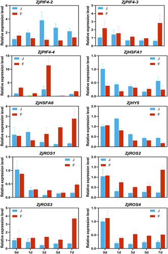 Figure 7. Results of qRT-PCR validation. Each column represents the average of three biological replicates, with standard errors indicated by vertical bars.