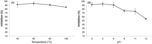 Figure 2. Stability of AHTI from peanut paçoca in different temperatures and pH. (A) 10 μg (0.30 nM) of AHTI was preincubated for 30 min at 37 °C and submitted to different temperatures (40 °C, 60 °C, 80 °C, 100 °C). (B) 10 μg (0.30 nM) of AHTI was incubated for 30 min at 37 °C in different pHCitation2,Citation3,Citation6,Citation8,Citation11,Citation12. The inhibitory activity on trypsin was determined using BApNA as substrate. AHTI: A. hypogaea L. trypsin inhibitor.