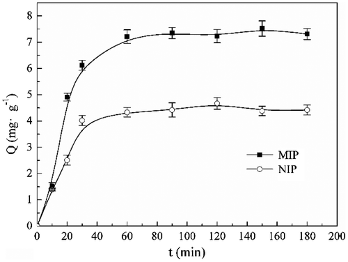 Figure 9. Kinetic adsorption curve of the optimal MIP and NIP microspheres.