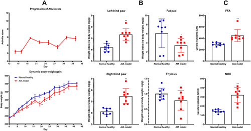 Figure 1 General pathological changes in AIA rats. (A) Dynamic changes of body weight and arthritis score throughout the observational period; (B) relative weight index of tissues and organs; (C) levels of FFA and NOX in blood plasma of rats. Statistical significance: *p < 0.05 and **p < 0.01 compared with normal healthy rats.