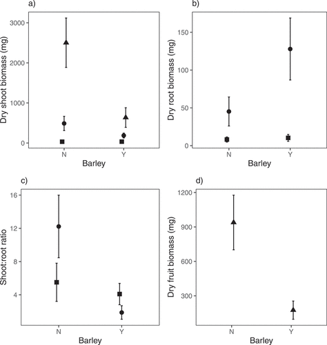 Figure 3. Shoot biomass (a), root biomass (b), shoot:root ratio (c) and fruit (inflorescence) biomass (d) of Centaurea cyanus at harvest 1 (42 days after sowing – square), harvest 2 (92 days after sowing – circle) and harvest 3 (162 days after sowing – triangle) when grown in the presence or absence of barley (cultivar Odyssey) in a glasshouse experiment. Barley had a significant negative effect on shoot biomass, fruit (inflorescence) biomass and shoot:root ratio as the growing season progressed and a significant positive effect on root biomass. Means of untransformed data (n = 11) are presented and error bars are 95% confidence intervals