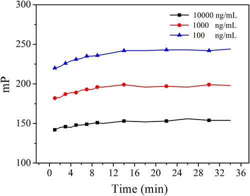 Figure 3. Kinetic equilibrium curve of different concentrations of tracer A. After being combined with the antibody, the mP values of tracer A in different concentrations reached equilibrium at 14 min.