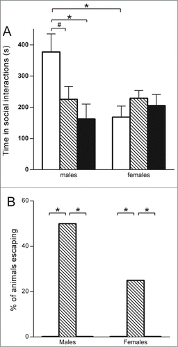 Figure 4. Social interaction test performed at P40. * P < 0.01; # P < 0.1. (A) Mean time spent in social interactions (active playing, pursuing, and sniffing and grooming each other), in males (left) (control n = 4; exposed to endocrine disruptors n = 8; positive control (VPA) group n = 6) and in females (right) (control n = 4; exposed to endocrine disruptors n = 8; positive control (VPA) group n = 6). (B) Escaping behavior specific to rats exposed to endocrine disruptors (striped, n = 8 males and 8 females), no rats in the negative control group (in white, n = 4 males and 4 females) nor in the positive control (VPA) group (n = 6 males and 6 females) demonstrated this behavior.