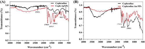 Figure 6. FTIR analyses of (A) Ceph-Ag and (B) Ceph-Au NPs.