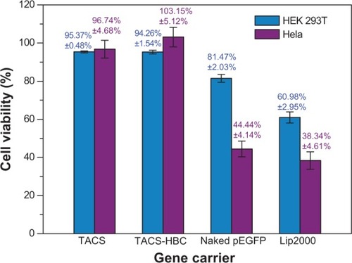 Figure 4 The relative growth rates of HEK 293T and Hela cells in the presence of different gene carrier particles.Note: Cell growth was assessed 24 hours after introduction of particles.Abbreviations: HEK 293T, human embryonic kidney cell line 293T; Hela, human cervix epithelial; TACS, thiolated N-alkylated chitosan; HBC, hydroxybutyl chitosan; pEGFP, enhanced green fluorescent protein plasmids; Lip2000, Lipofectamine® 2000 transfection reagent.