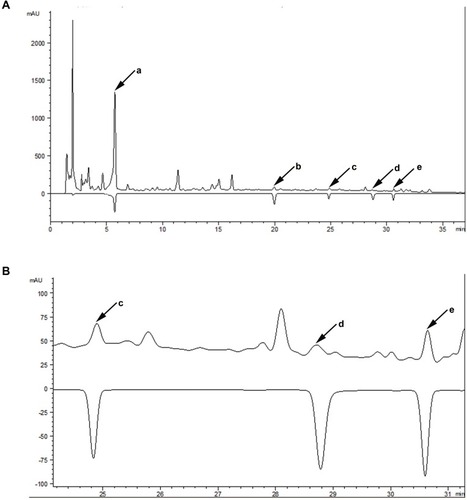 Figure 1 The chromatographic profile of SMYZ decoction.