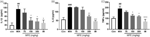 Figure 4. Effects of MPE on the serum levels of cytokines in MIA-induced rats. (A) Serum IL-1β, (B) IL-6, and (C) TNF-α levels were measured using ELISA. Values are expressed as means ± SEM (n = 7). ####p < 0.0001 vs. saline; *p < 0.05; ***p < 0.001, ****p < 0.0001 vs. MIA-treated rats.