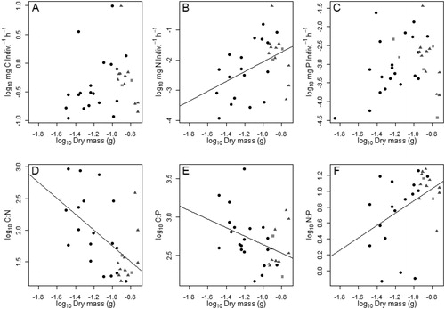 Figure 5. Nutrient specific per capita egestion rates (A–C) and stoichiometry (D–F) regressed over body size (dry mass in grams) of free-ranging larval southern leopard frogs (Lithobates sphenocephalus) from geographically isolated wetlands in southwestern, Georgia, USA, from February to July 2016. Adjusted R-squared values are presented. Solid circles represent individuals in stage 0L (no legs), triangles represent 2L (hind limbs only) and squares represent 4L (both hind and front limbs).