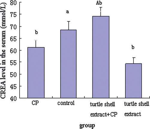Figure 5.  Effect of pre-treatment with turtle shell extract (220 mg/kg BW, p.o. for 29 days) on the serum CREA level in normal and CP-treated mice. Values are means±SE (n=6). (a) and (A) indicate that, when compared with CP-treated mice, the serum CREA level in control and extract + CP-treated mice were both significantly increased (p<0.05 and p<0.001, respectively). (b) Indicates that, when compared with control group, the serum CREA level of other groups were all significantly different (all p<0.05).