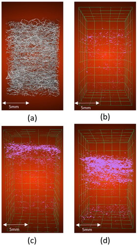 Figure 8. 3D visualization of clean filter material (a); after 30 min (b); after 45 min (c); after 60 min (d). Gas flow direction is from top to bottom.