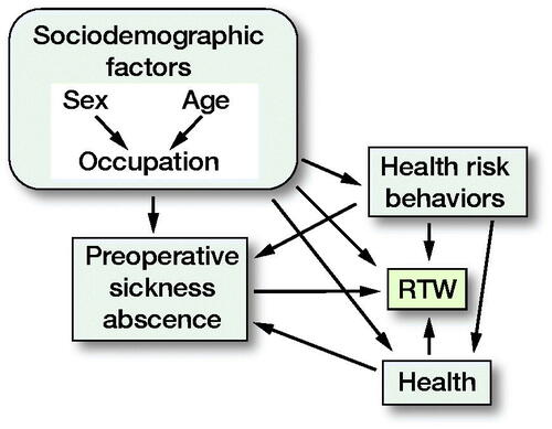 Figure. Directed acyclic graph (DAG). Age, sex, and occupational status were considered as sociodemographic factors in DAG, whereas alcohol consumption, smoking, and physical activity were considered as health risk behaviors. Further, obesity, self-rated health, psychological distress, comorbidities, antidepressant medication, and pain medication were considered as health in the DAG. RTW = return to work.