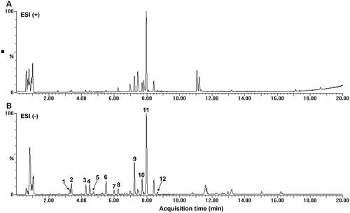 Figure 1. Base peak ion chromatogram (BPI). (A) Positive mode BPI. (B) Negative mode BPI of BCE by UPLC-ESI-QTOF-MS/MS.