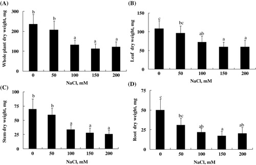 Figure 1. Effect of NaCl treatment on DW production of (A) whole plant, (B) leaves, (C) stems, and (D) roots of L. sativum. Data are means of 20 replicates ±SE. Means with similar letters are not different at P < 0.05 according to Duncan's multiple range test at 95%.