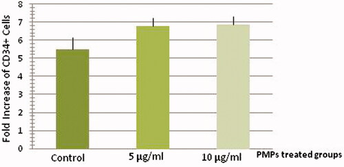 Figure 4. Proliferation analysis of treated and un-treated CD34+ cells at day 5 of culture. The mean fold change of treated CD34+ cells with PMPs was higher than control CD34+ cells at day 5 of culture (n = 6, P < 0.05).