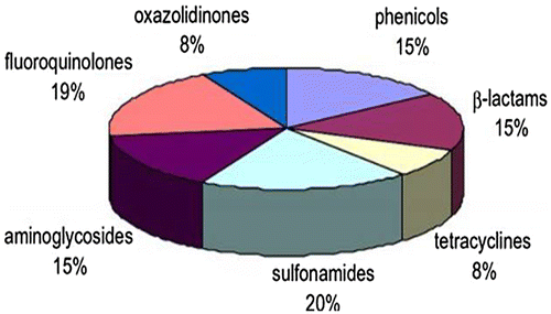 Figure 1. Classification of antibiotic families in food.