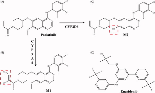 Figure 1. Chemical structures of poziotinib (A), M1 (B), M2 (C) and enasidenib (D).