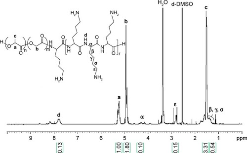 Figure 4 1H nuclear magnetic resonance spectrum of PLGA-PLL. Peak areas indicated within green parentheses.Notes: PLGA-PLL copolymer composition also confirmed by Fourier-transform infrared spectroscopy. a, b, and c represent the proton positions indicated on the chemical structures.Abbreviations: PLGA, poly(lactic-co-glycolic acid); PLL, poly-L-lysine.