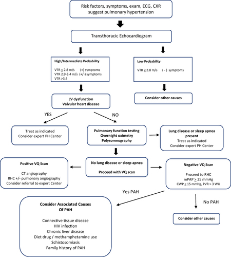 Figure 2 Algorithm for the diagnosis of pulmonary arterial hypertension.