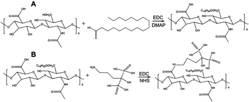 Figure 1 Schematic representation for the synthesis of (A) hyaluronic acid-octadecanoic acid (HA-C18) and (B) alendronate-hyaluronic acid-octadecanoic acid (ALN-HA-C18).